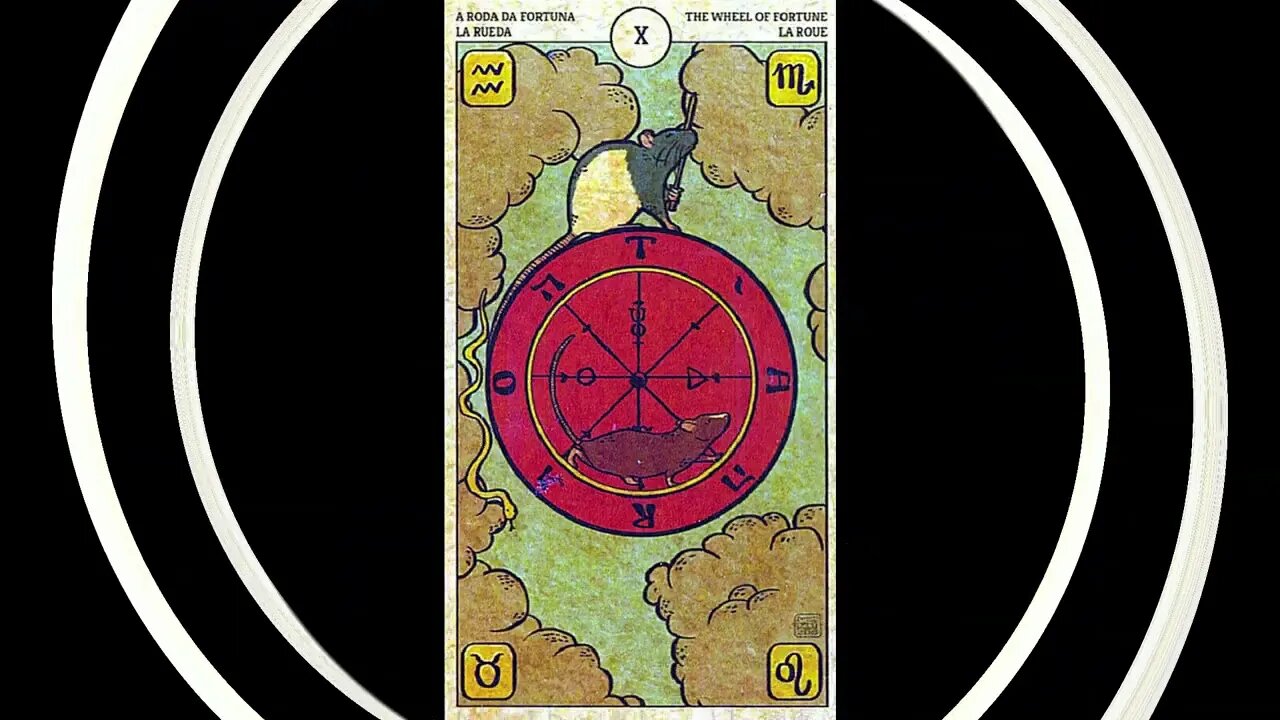 rat tarot
