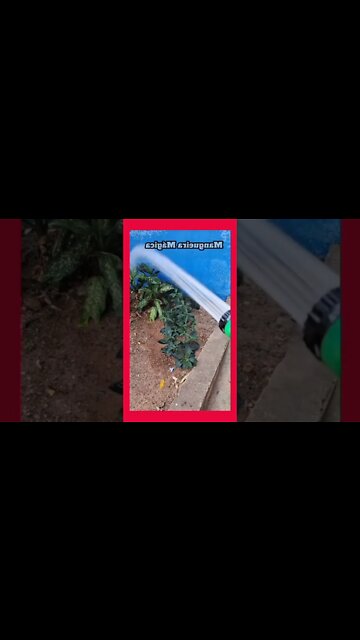 Mangueira Mágica AUMENTA? Como Funciona a Mangueira de Jardim? SEGREDO REVELADO #shorts