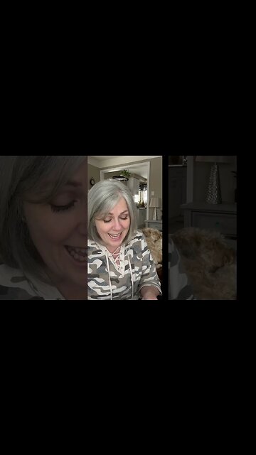 Carnivore Dog Treats, My Dog Approves #ketodiet #carnivore #dog #wheatenterrier