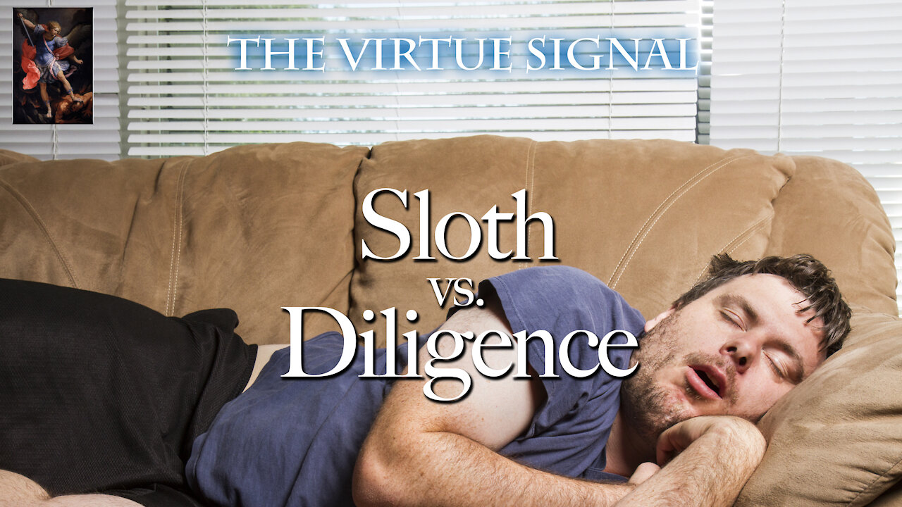 Sleep All Day, Game All Night: If You Have the Cash What's the Harm in the Sloth Life?