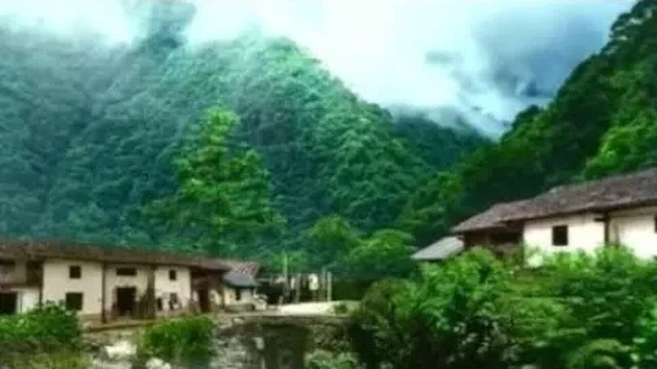 #nature Peaceful scenery of nature with relaxing ambient 😍 #viralvideo Episode63