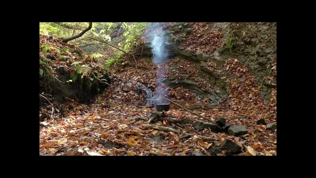 The Best relaxing.Campfire in forest with birds and running water spring at background