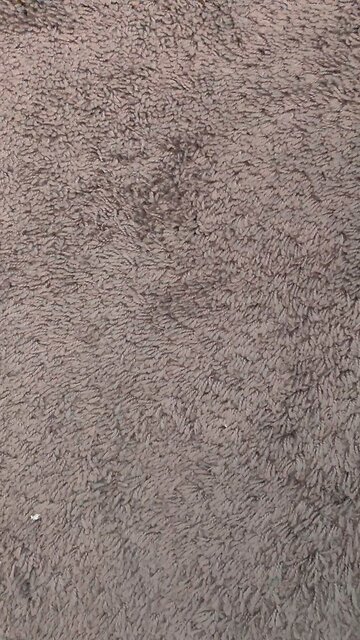 title less than 100 characters title less than 100 characters title less than 100 characters 222222