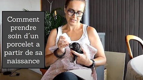 Comment prendre soin d´un cochonnet a partir de sa naissance tutorial avec Lucía Berti Garcia