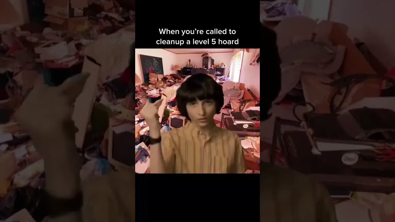 This level 5 hoard cleanup took three days #shorts