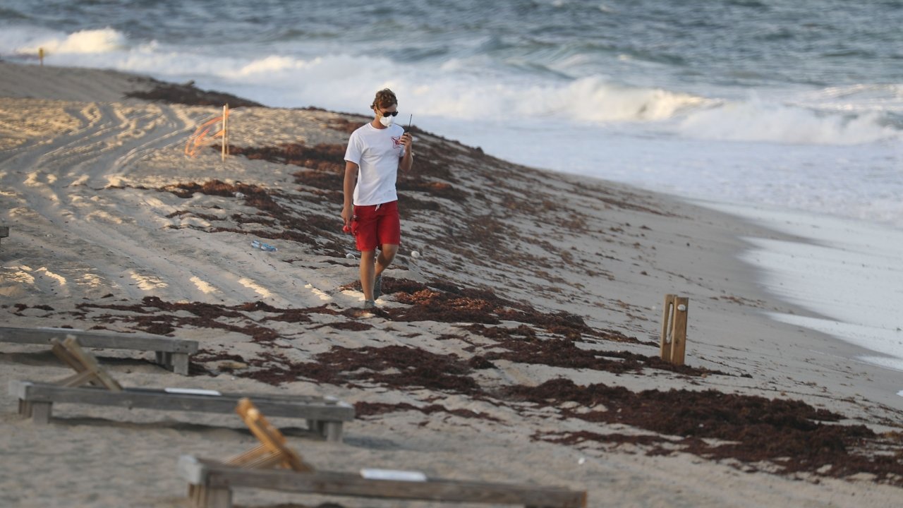 Hurricane Michael Shifts Red Tide Back Toward Florida's Gulf Coastline