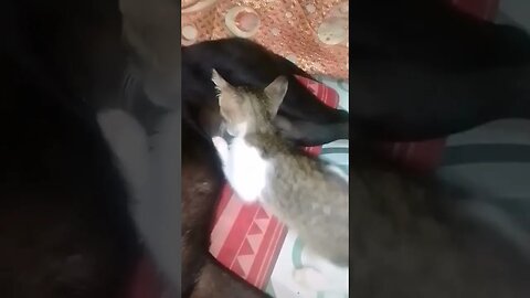 Great Love @ @everyone #everyone