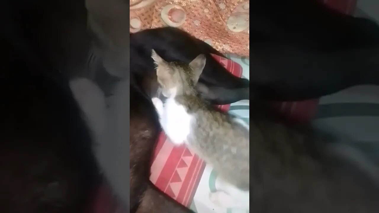 Great Love @ @everyone #everyone