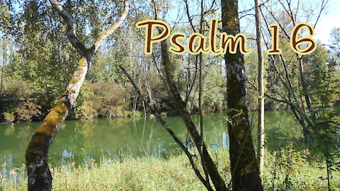 Psalm 16