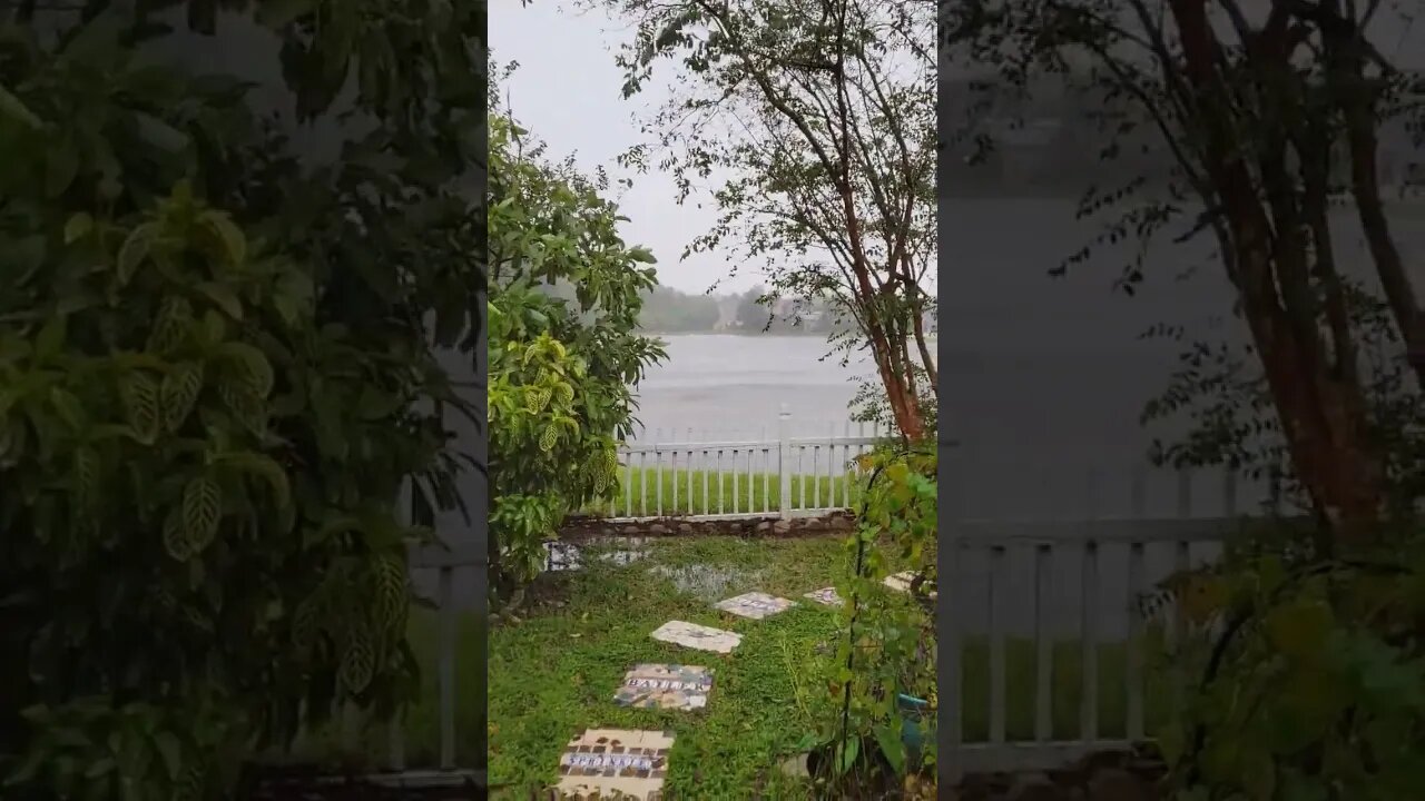 #HURRICANEIAN🌀 MORNING AFTER THE STRIKE #HURRICANE #HIGHWINDS #FLOODING #FLORIDA #SHORTS #SUBSCRIBE