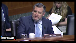 'Wild-Eyed Leftist': Ted Cruz Grills Biden Nominee Over His Past Statements