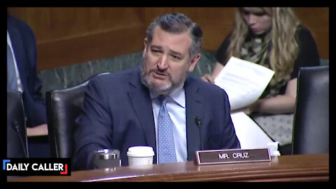 'Wild-Eyed Leftist': Ted Cruz Grills Biden Nominee Over His Past Statements