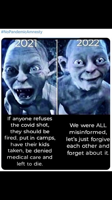 Christine Anderson says the pandemic is NOT over until every single politician, scientist, doctor, & health care worker who were responsible for the draconian restrictions imposed on the people have been held accountable.