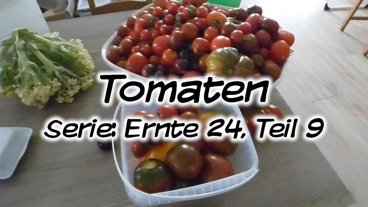 Mach's Dir. Selbst. - Tomaten (Serie: Ernte 24, Teil 9)