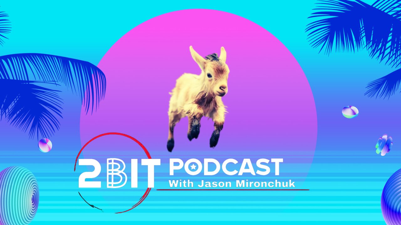 GOAT STREAM - MEET LUCKY THE BABY GOAT, CHANNEL NEWS, LIVE READ