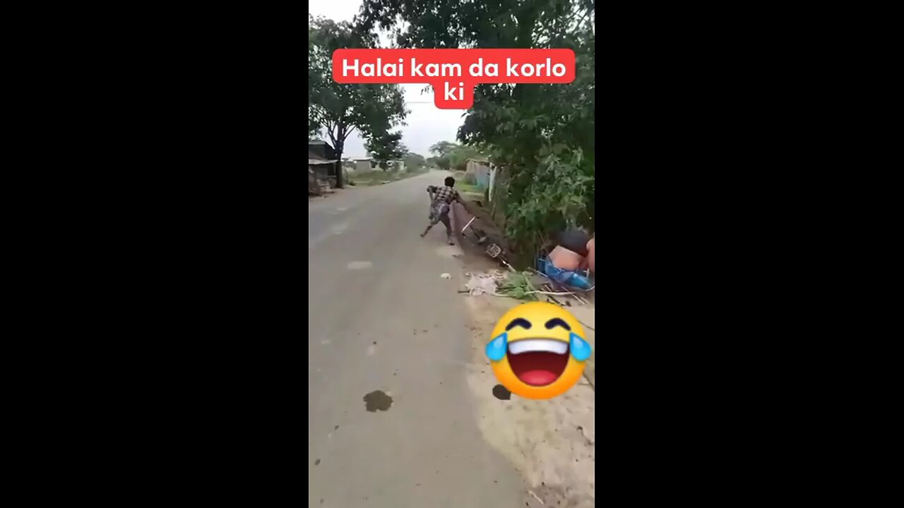 funny videos