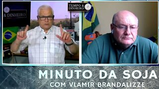 Semana foi positiva para Soja