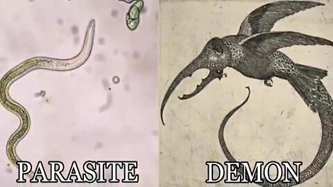 20230903 MICRO WARS: PARASITES ARE DEMONS!! (MINISTER DEREK HALLETT)