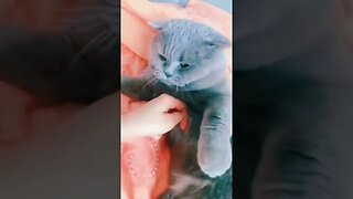 #viral #shortsviral #funny #viralshort
