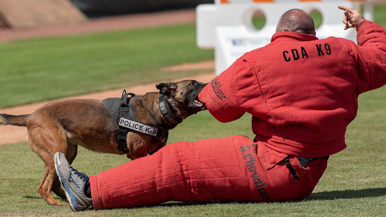 Police Dog Turns On Tyrannical Police Who Attack Vax Protesters