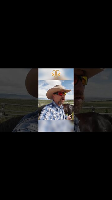 Wild Horse Management: Yay or Neigh? Join the Discussion! 🐴🗣️