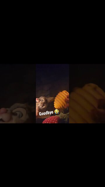 Goodbye To Br'er Fox, Br'er Bear And Br'er Rabbit. My Last Splash Of Splash Mountain.