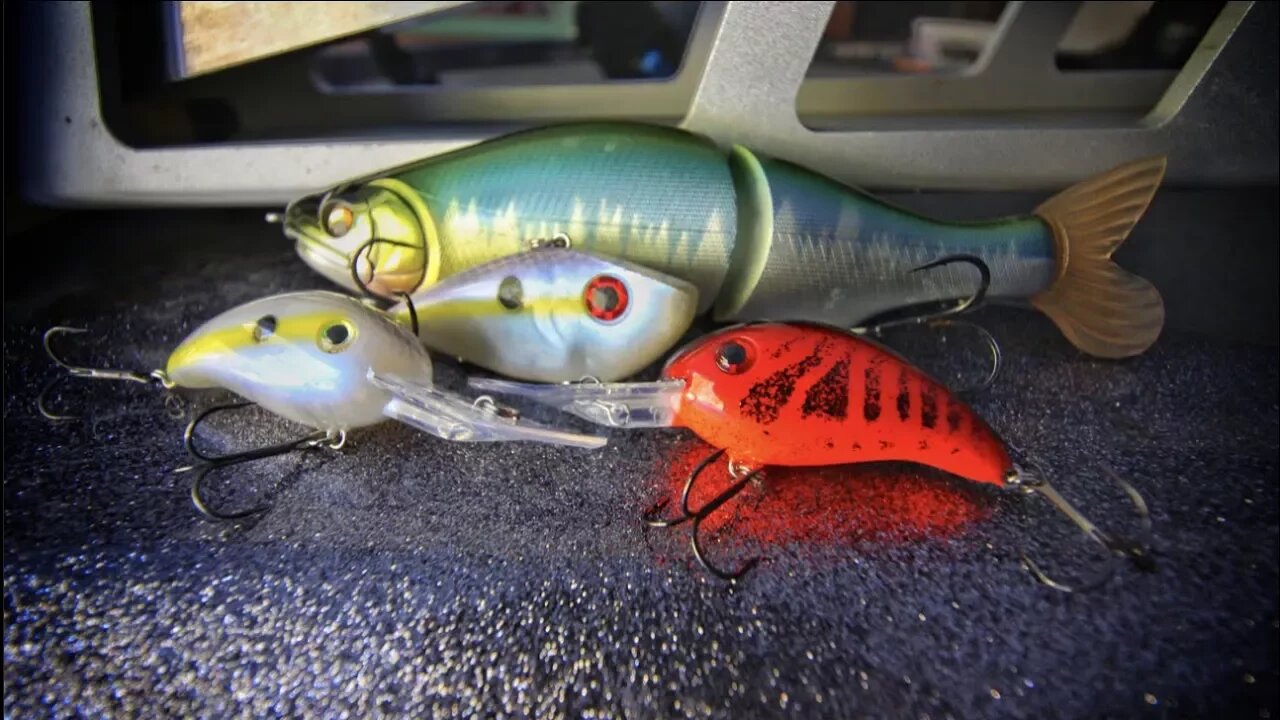 WHY Do Bass Eat Lures?