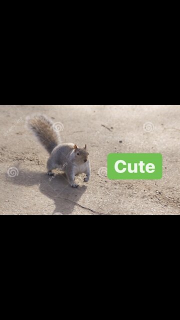 Nice Surprise, nice time