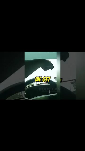 Groovy Reunion: Hilly and Her Pooch Reconnect