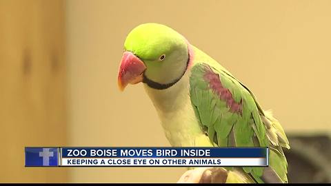 Zoo Boise keeping a close eye on its animals with smoke in the sky