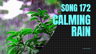 Calming Rain (song 172, piano, music)