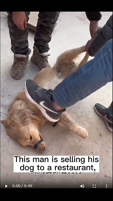 【中国】信じていた飼い主に売られる犬。