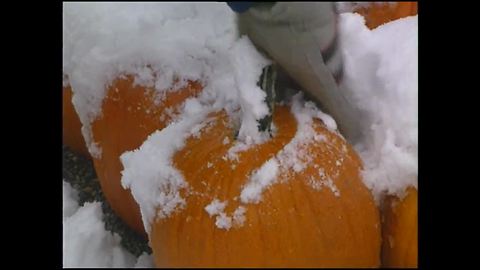 Snow in 1989 in Indianapolis