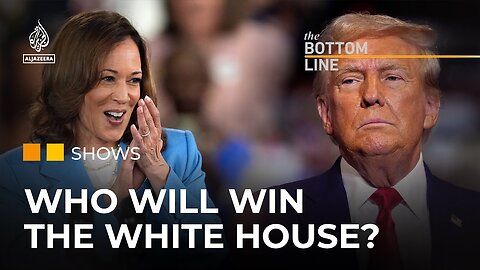 Harris revived the Democrats, but can she win the US election? | The Bottom Line