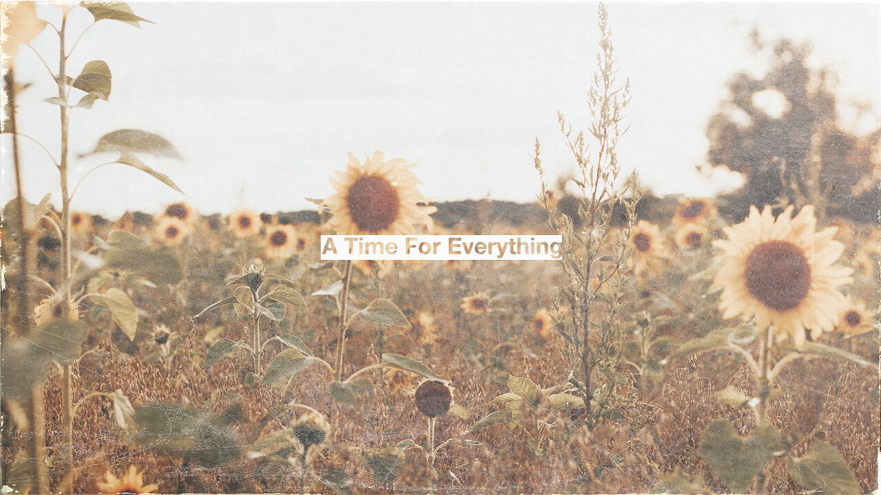 A Time For Everything - 12/10/23