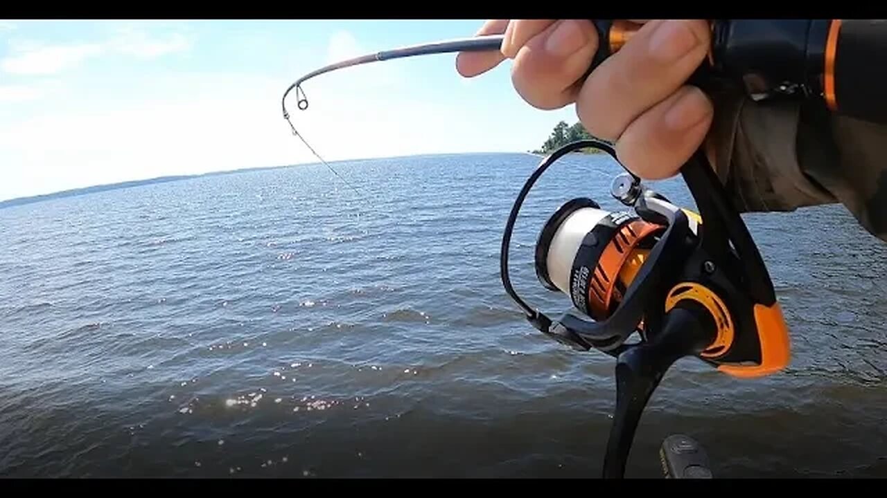We caught more than we knew what to do with