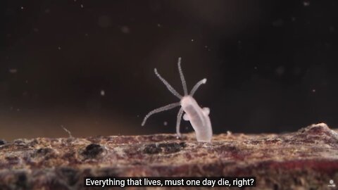 WHAT IS IN STORE FOR US? (4 parasites found in vaccines)