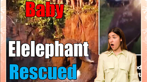 news of the bizarre baby elephant 🐘rescued in India