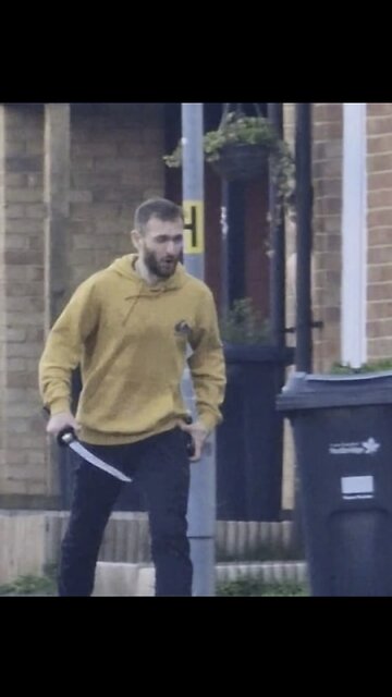 A 13-year-old boy has died after mass stabbing in Hainault