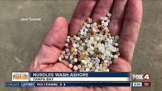 Nurdles found on beach near Sunshine Skyway Bridge