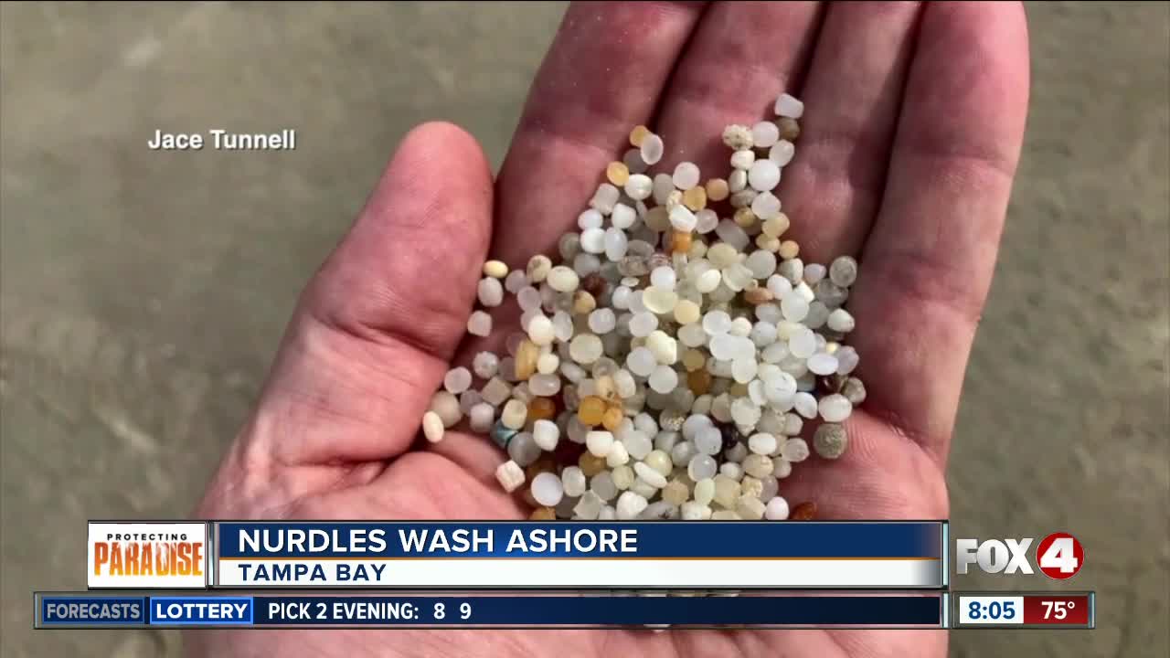 Nurdles found on beach near Sunshine Skyway Bridge