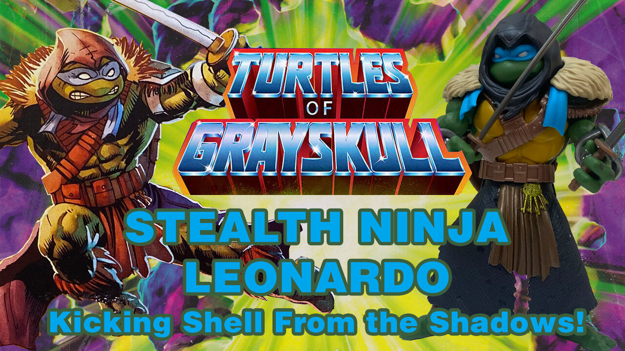 Stealth Ninja Leonardo - Turtles of Grayskull - Unboxing & Review