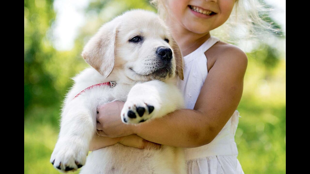 20 Minutes of Adorable Puppies 🐶