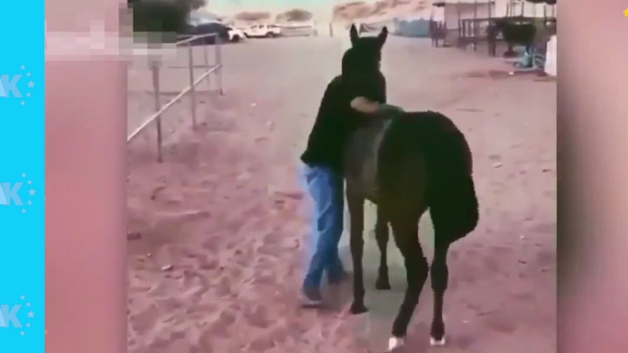Animals that asked people for help & kids