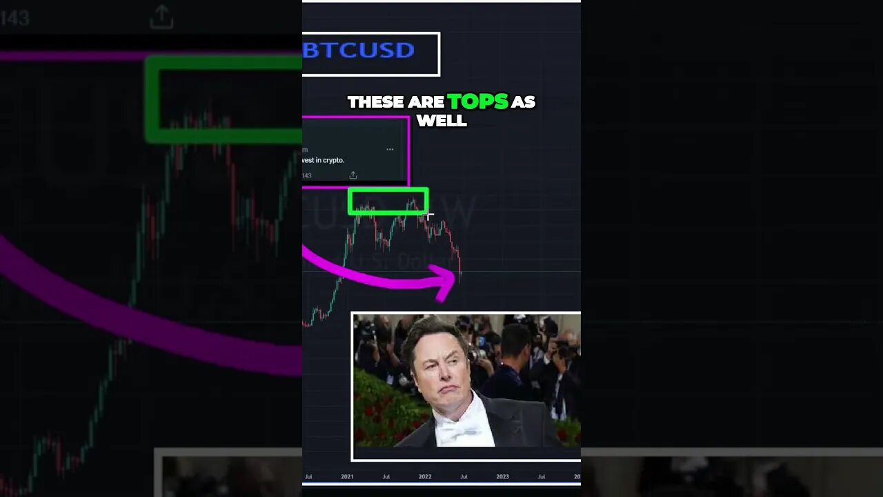 🩳The Cryptocurrency Cycle: Predicting Tops and Bottoms #cryptocurrency #hex #crypto #plsx #bitcoin