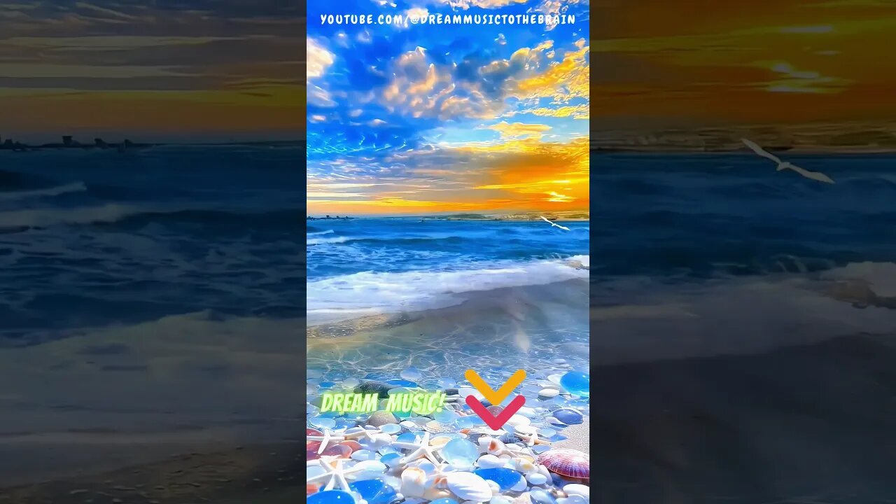 Yin Yang Respite: Universal Balance in 40 Seconds