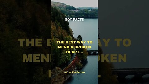 Boy Facts