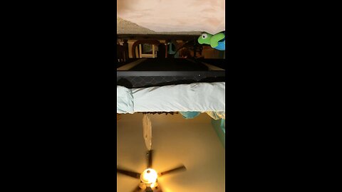 My best dragon puppet