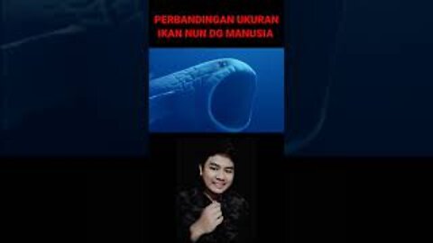 Video Illustration of a fish eating a human