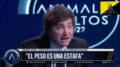 Javier Milei La diferencia entre economistas